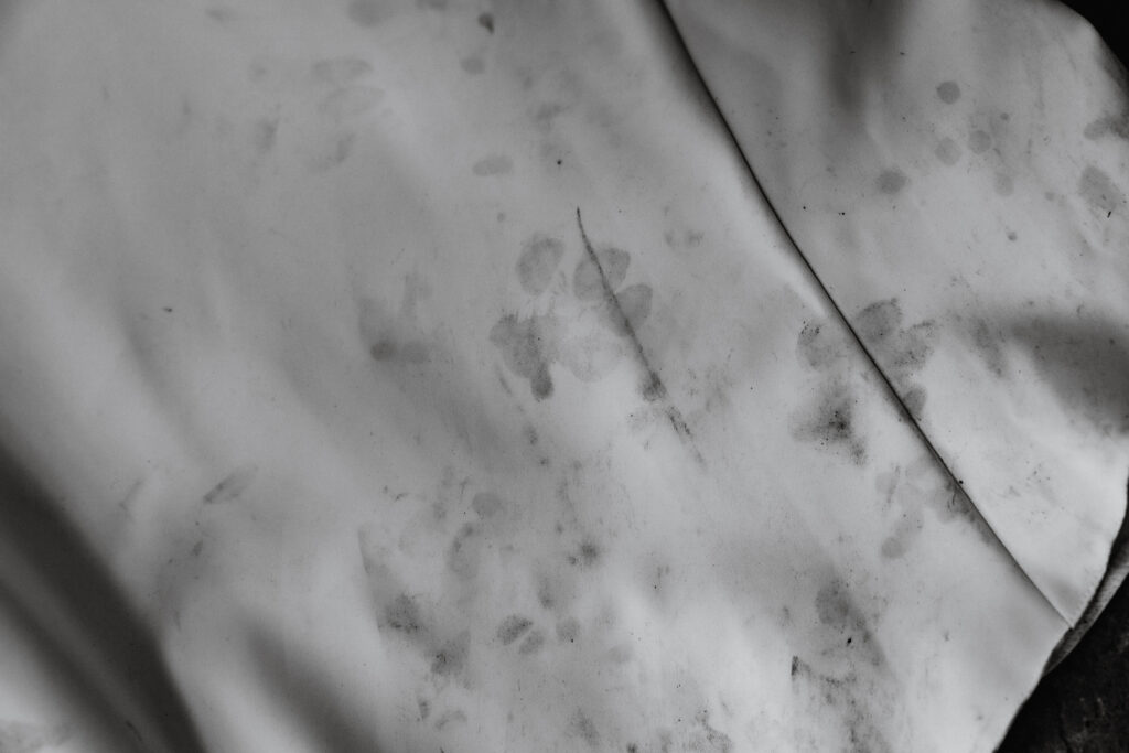 Bride's dogs leave paw prints on her wedding train during Breckenridge elopement.