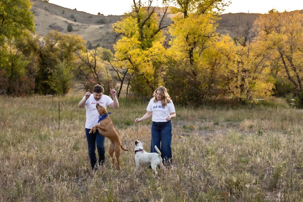Dog friendly Colorado engagement session features couple with dogs
