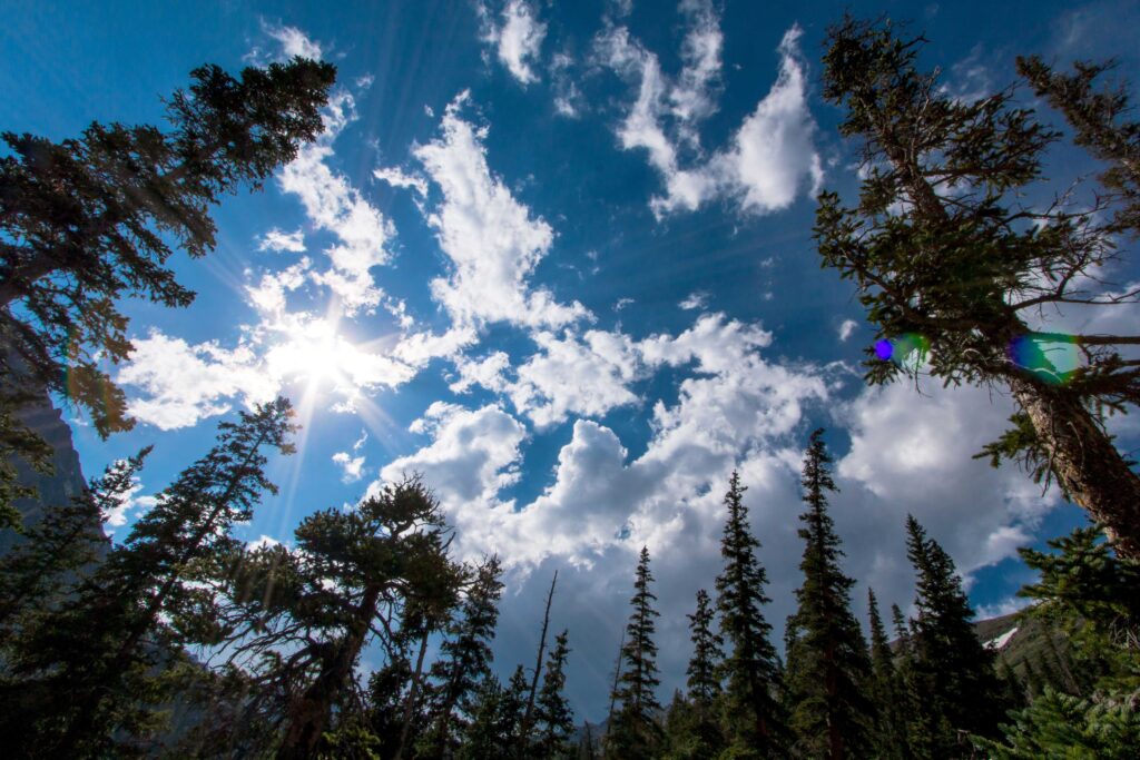 Colorado elopement spot with forest vibes.
