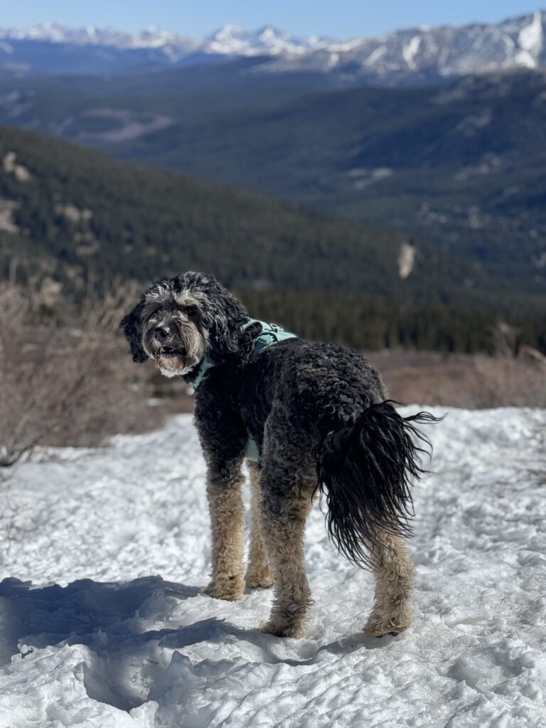 Colorado elopement spot location scouting