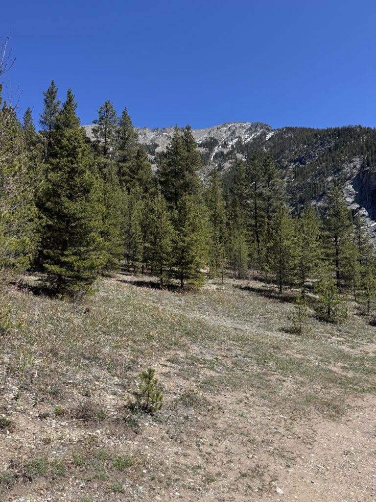 Colorado elopement spot location scouting