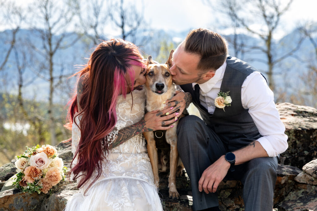 Dog included in a Colorado mountain elopement portrait.