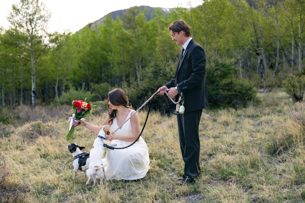Intimate dog-friendly elopement ceremony in Colorado.