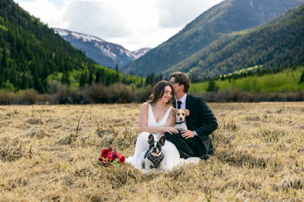 Couple and their dogs during a dog-friendly Colorado elopement in the mountains.