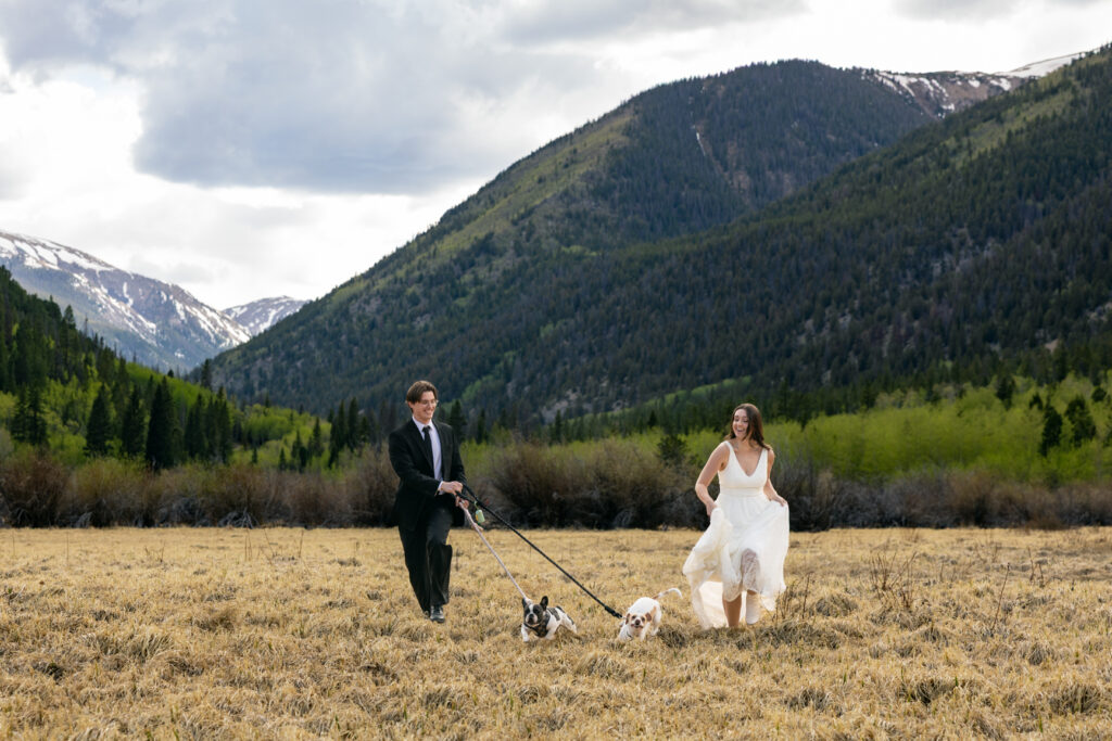 Bride and groom run with dogs in field during their Colorado mountain elopement.